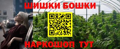 прущие грибы Сланцы