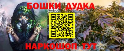 прущие грибы Сланцы