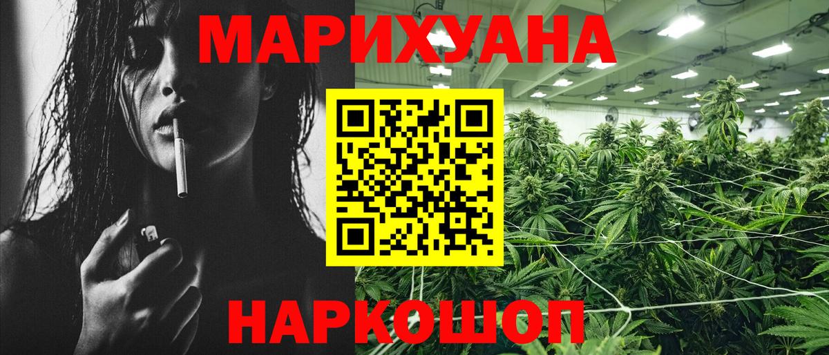 Бошки марихуана OG Kush Новозыбков